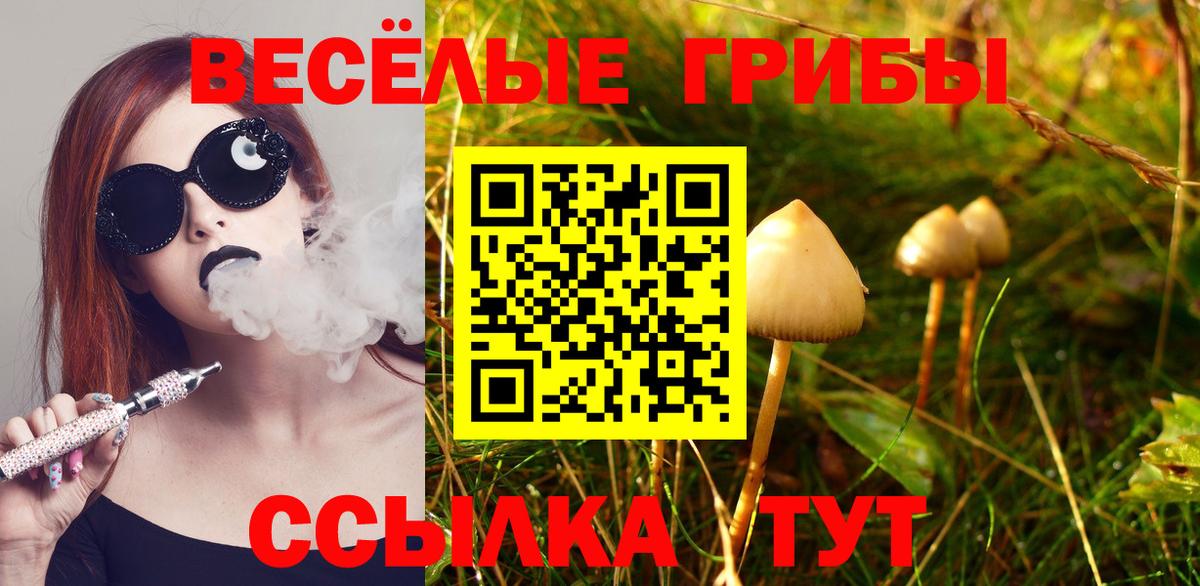 Галлюциногенные грибы прущие грибы  Вход с VPN  Мелеуз  Галлюциногенные грибы мицелий 