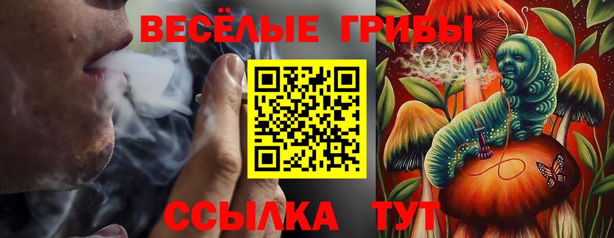 Галлюциногенные грибы мицелий Мелеуз
